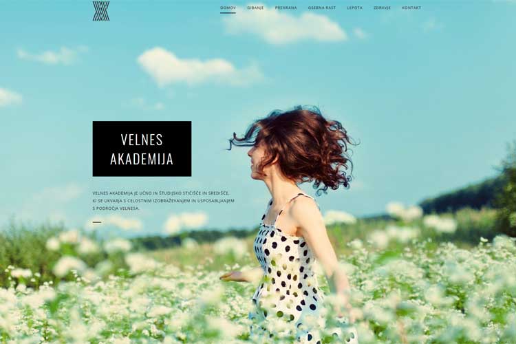 www.velnesakademija.si